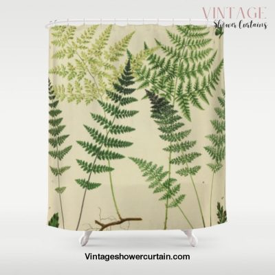 Botanical Ferns Shower Curtain Offical Vintage Shower Curtain Merch